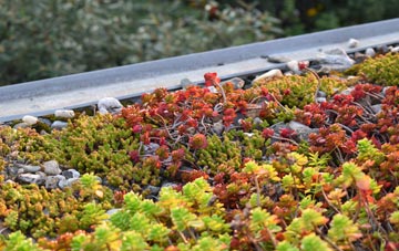 the cost of Longstreet green roof installation