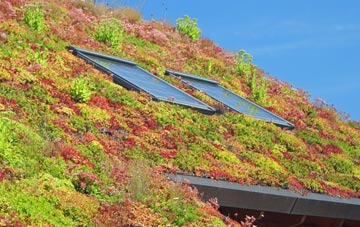 Longstreet living roof systems