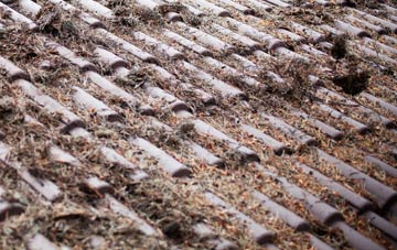 Longstreet roof cleaning companies