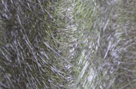 Longstreet fibreglass roof work