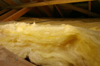 Longstreet pitch roof insulation